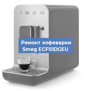 Замена дренажного клапана на кофемашине Smeg ECF01DGEU в Красноярске